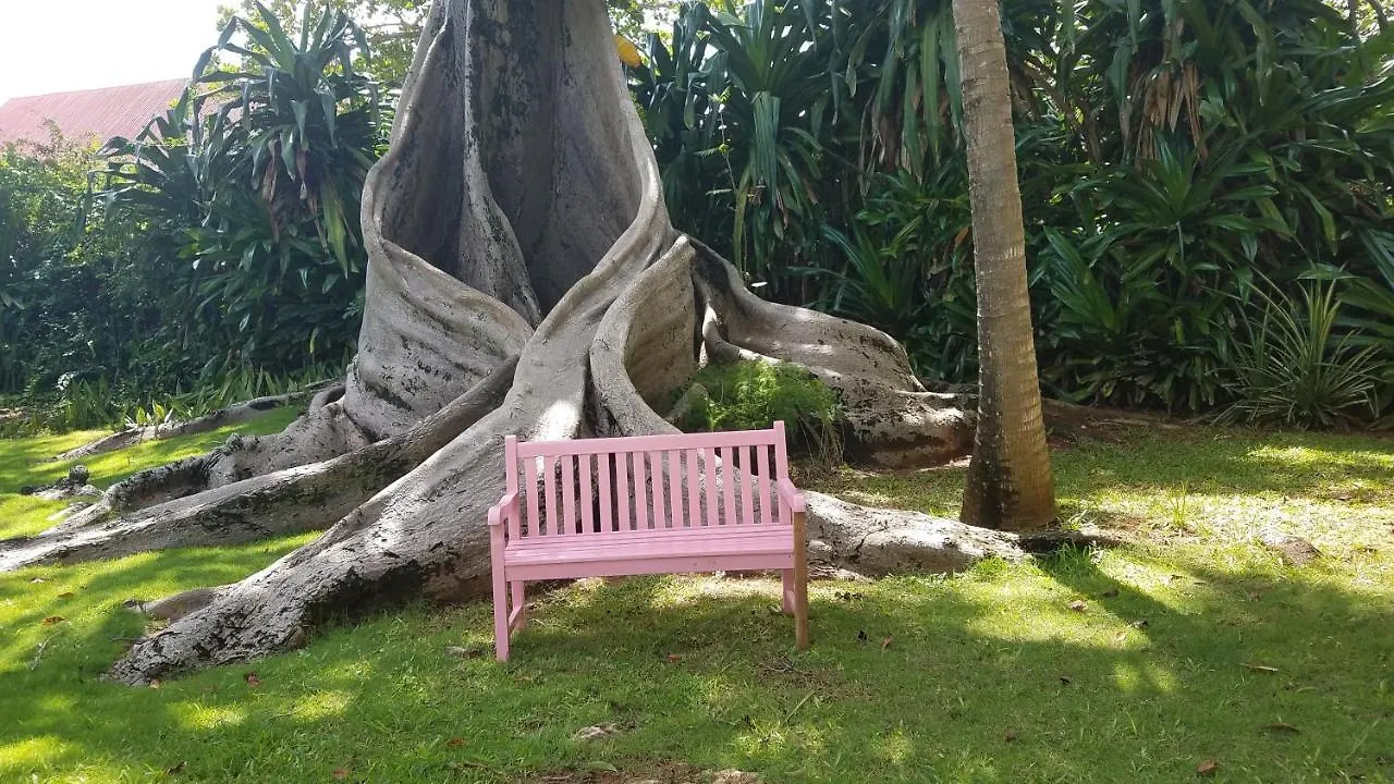 Llantrissant Beachcliff Villa Negril 0*,  Jamaica